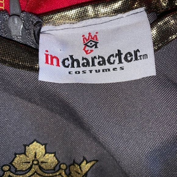In character knight kids costume size 10 missing belt* - Picture 4 of 9
